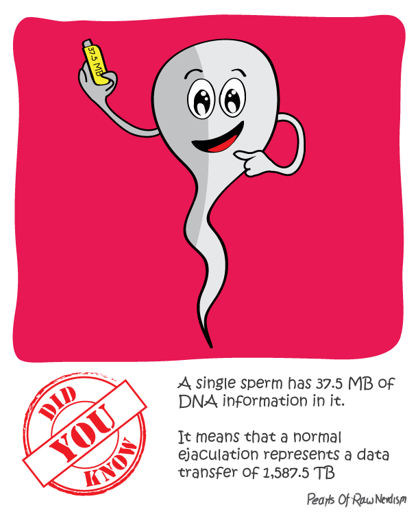Did You Know - Data in Sperms