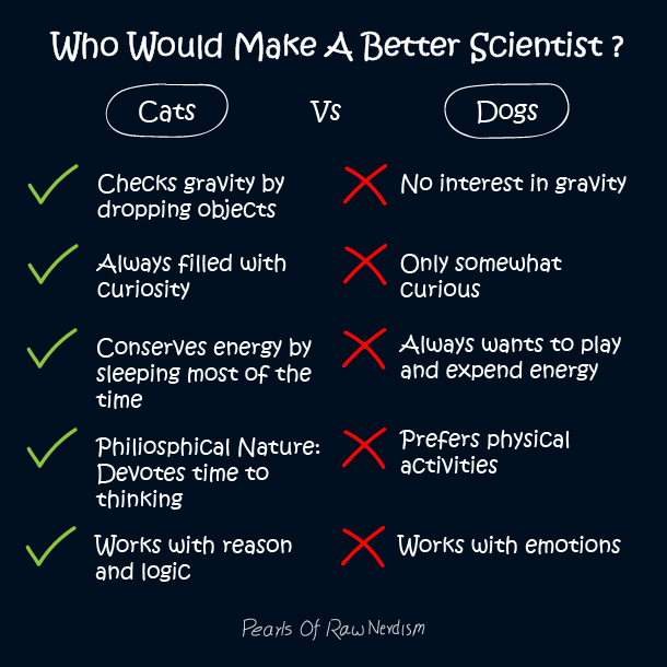 Cats-Vs-Dogs