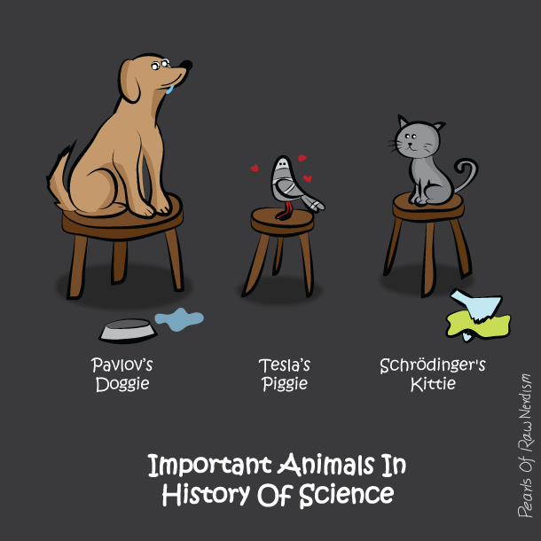 animals in science